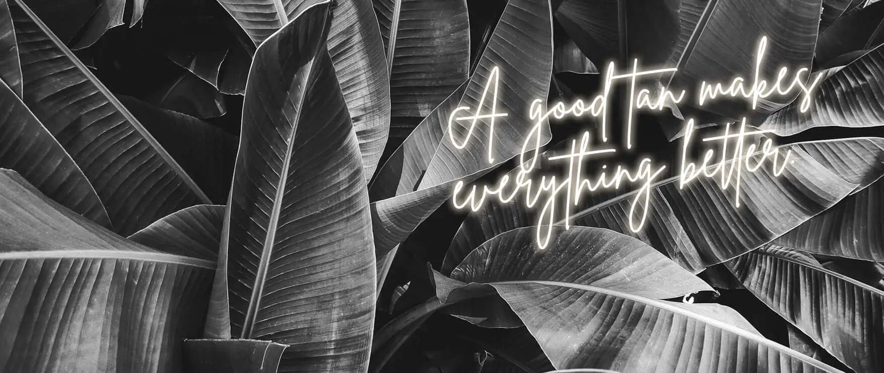 Black and white palm leaves with gold text: 'A Good Tan Makes Everything Better‘