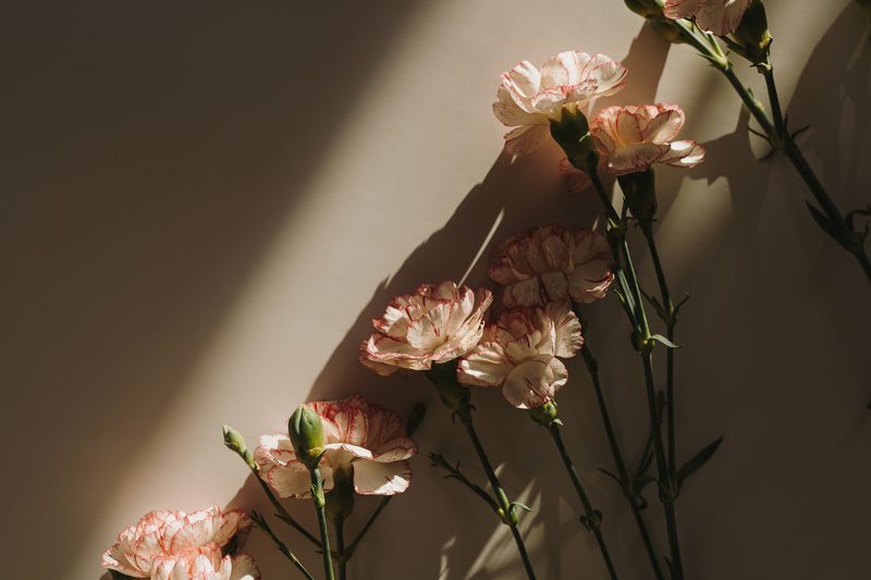 Dried floral arrangement